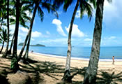 Palm Cove Accommodation